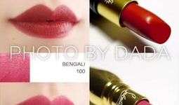 萝卜丁口红什么牌子